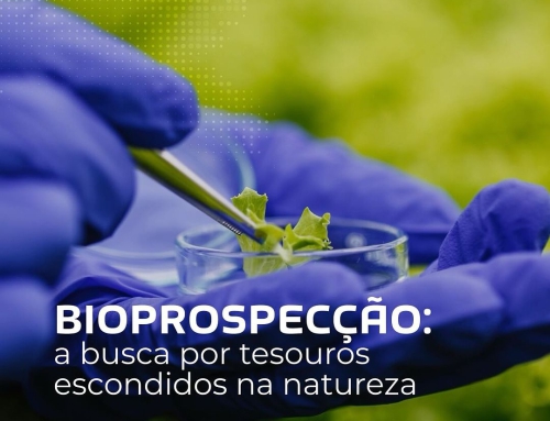 Você sabia que a biodiversidade brasileira é um celeiro de microrganismos com potencial biotecnológico?